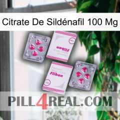 Citrate De Sildénafil 100 Mg 33